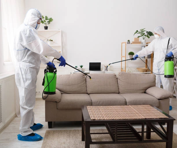 Dedetização em apartamento
