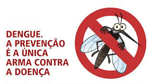 Vírus da Dengue